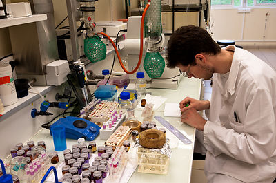 Technicien analyse des principes actifs extraits de vegetaux