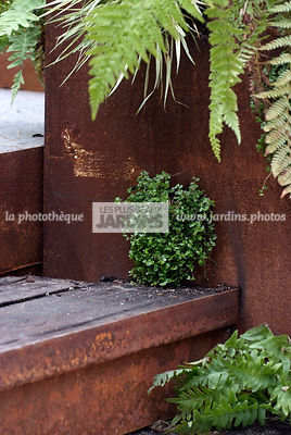 Soleirolia soleirolii (helxine) dans un panneau d'acier Corten de Eric Ferber. Paysagiste : Didier Danet. Paris