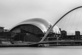 The Sage