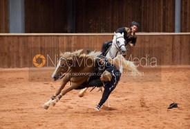 Rockin' Horse Stunt Riders