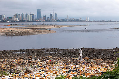 Men walk through garbage on the banks of Mahim Bay (Arabian Sea), Mumbai, India.