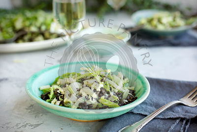Black Lentil Green Veggie Salad served with Feta Mint Vinaigrette