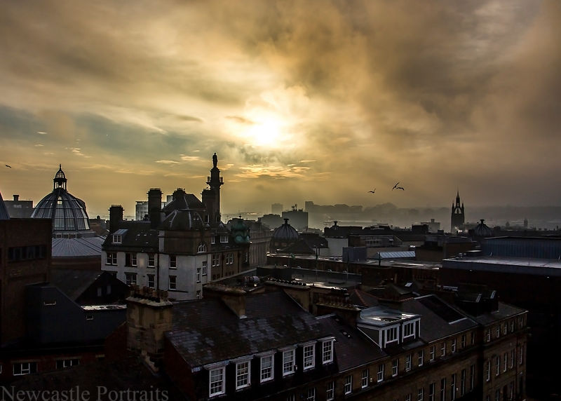 Across the Rooftops