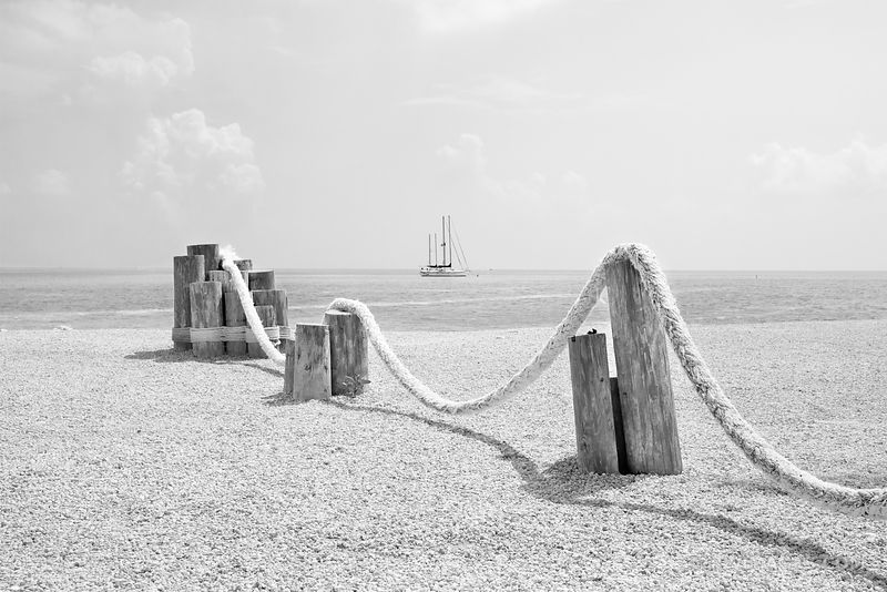 BEACH IN UPPER MATECUMBE KEY ISLAMORADA FLORIDA KEYS BLACK AND WHITE