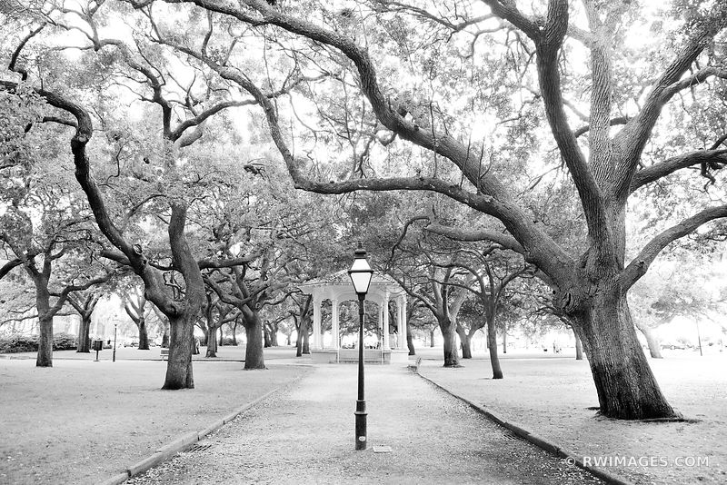 WHITE POINT GARDEN CHARLESTON SOUTH CAROLINA BLACK AND WHITE