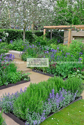 Petit potager en carré, urbain, Style champêtre contemporain : Rosmarinus officinalis, Nepeta faassenii 'Blauknirps', Iris sibirica 'Tropic Night'. Paysagiste : Adam Frost, CFS, Angleterre