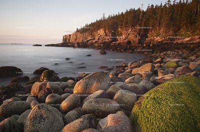 Maine