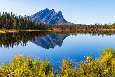 Peaceful Morning