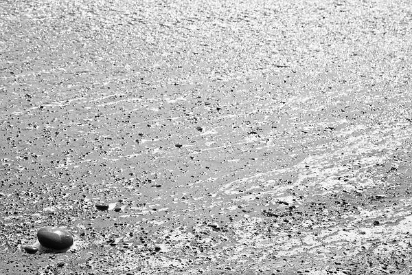 RIALTO BEACH OLYMPIC NATIONAL PARK BLACK AND WHITE