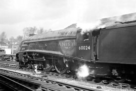 Steam loco A4 60024 Exeter St Davids