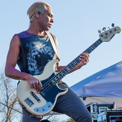 Tony Kanal, bass, Dreamcar