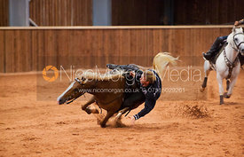 Rockin' Horse Stunt Riders