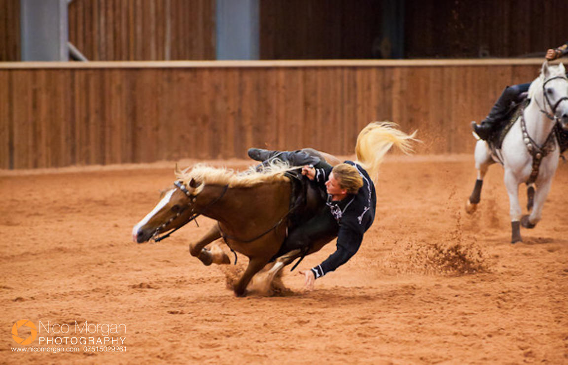 Rockin' Horse Stunt Riders