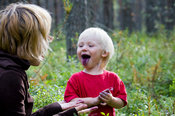Bilberry time