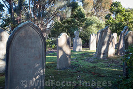 Headstones on the isle of the Dead, Port Arthur, Tasmania, Australia; Landscape