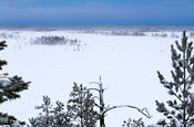 Patvinsuo mire in January