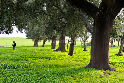 Walking trail near Arraiolos.Alentejo