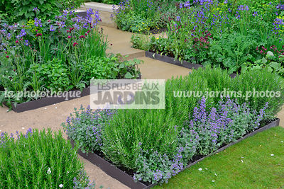 Petit potager en carré, urbain, Style champêtre contemporain : Rosmarinus officinalis, Nepeta faassenii 'Blauknirps', Iris sibirica 'Tropic Night'. Paysagiste : Adam Frost, CFS, Angleterre