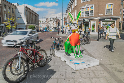 GoGo Hares in Norwich