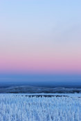 Glacial winter