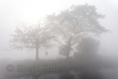 http://s3.amazonaws.com/medias.photodeck.com/bcb028b7-2774-42ef-a7e9-d375f5fa7e34/Brett-Cole-India-04166_medium.jpg