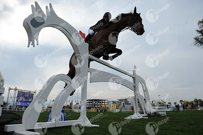 Robinson Laura, (Gbr) and JONTI