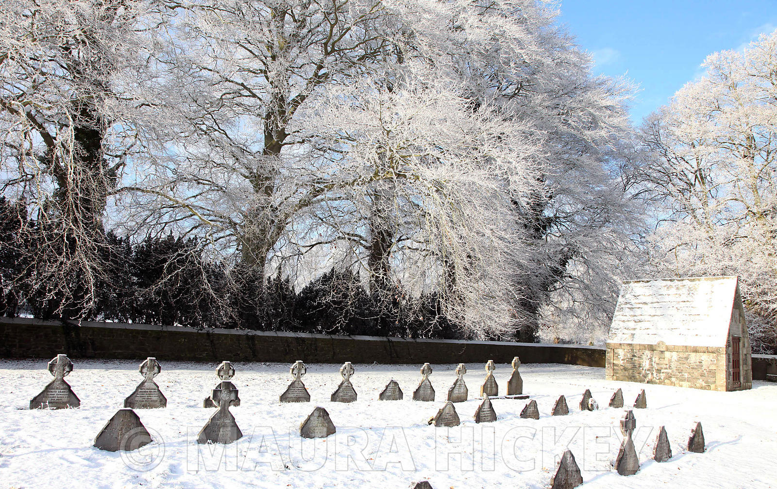 Maynooth College grave yard..08.01.09..Pic. Maura Hickey/086 8541130.