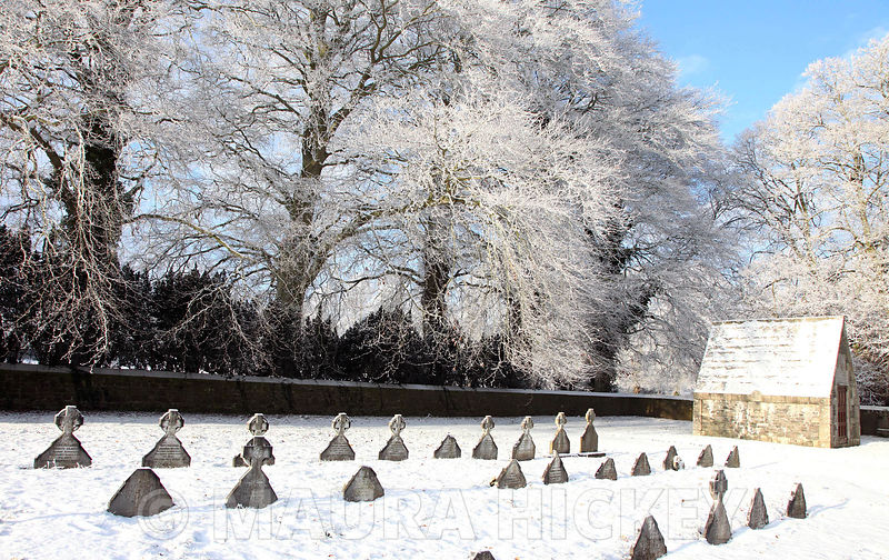 Maynooth College grave yard..08.01.09..Pic. Maura Hickey/086 8541130.