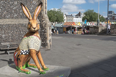 GoGo Hares in Norwich