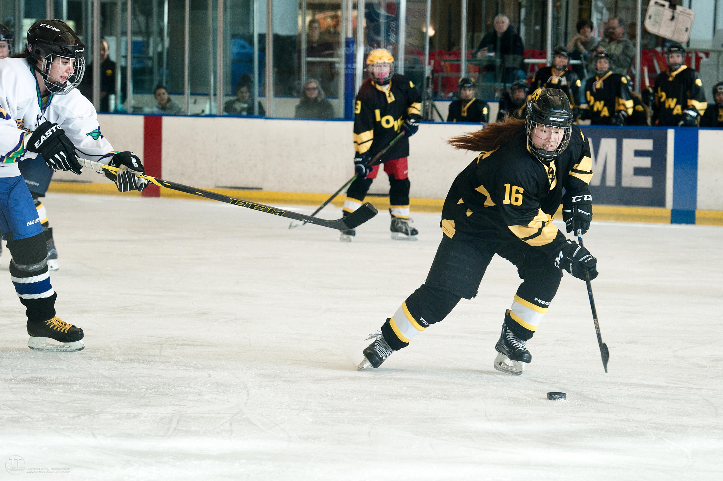 Lady Hawks Ice Hockey