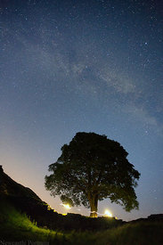 Sycamore Gap at night.