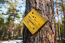Reittimerkki Nuuksiossa.