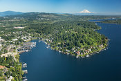 Lake Washington shoreline; Medina, WA