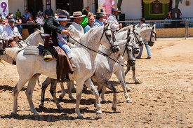 El Rocio romería, 2012