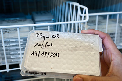 Chimiotheque, stockage cryogenique des composes chimique des vegetaux