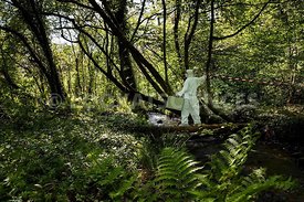 Ruisseau Clairefontaine vers Moulin Gardin, D 37E1