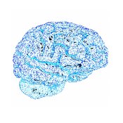 Brain Alight #5