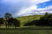 Cow Hill
