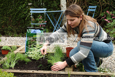 Plantation de la ciboulette. Personne mettant le terreau. Plantes aromatiques. Jardin MAP
