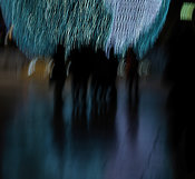 ILLMTp-2917-crop
