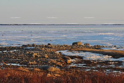 Northern Quebec