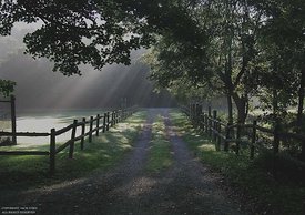 Shafts of light on Driveway