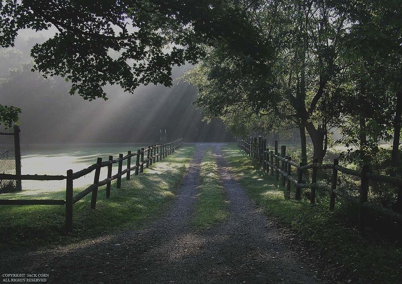 Shafts of light on Driveway