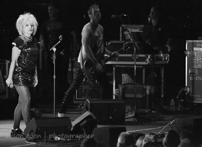 Blondie, Sunrise At Night, Citrus Heights, California, 2012