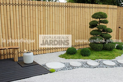 Jardin inspiration japonaise : jardin style japonais, Arbre taillé en nuage : Ilex crenata (houx crenélé du Japon), Pas japonais. Paysagiste : Kevin Young, Hampton Court, Angleterre