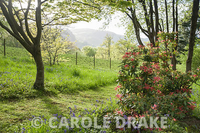 The foothills of Snowdonia are glimpsed from the garden at Maenan Hall.