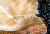 Fragments-Take-4