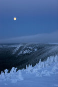 Winter full moon