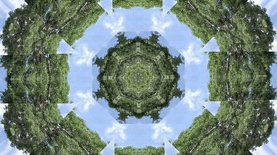 Trees_and_sky_with_wind_pattern_4k