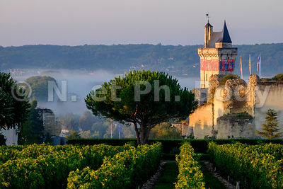 FRANCE, VALLEE DE LA LOIRE, CHATEAU DE CHINON // FRANCE, LOIRE VALLEY, CASTLE OF CHINON